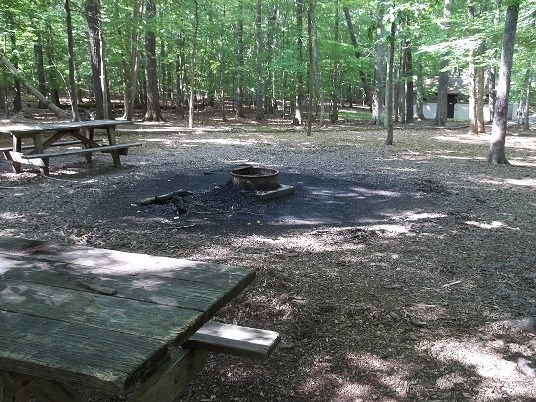 Two picnic tables and a metal fire ring make a campsite in a cleared area shades by a green forest near a small building