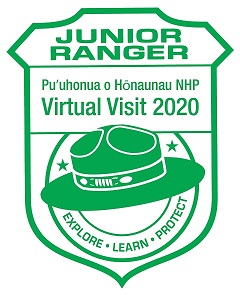 Junior Ranger - Timucuan Ecological & Historic Preserve (U.S. National Park  Service)