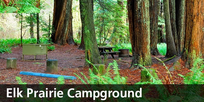 Developed Campgrounds Redwood National And State Parks U S