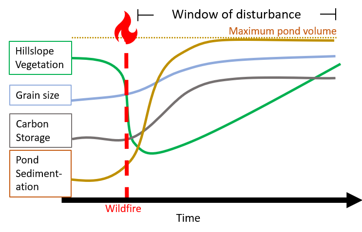 Conceptual diagram of sedimentation, grain size, and carbon storage related to hillslope vegetation in a beaver pond as a function of time since wildfire.