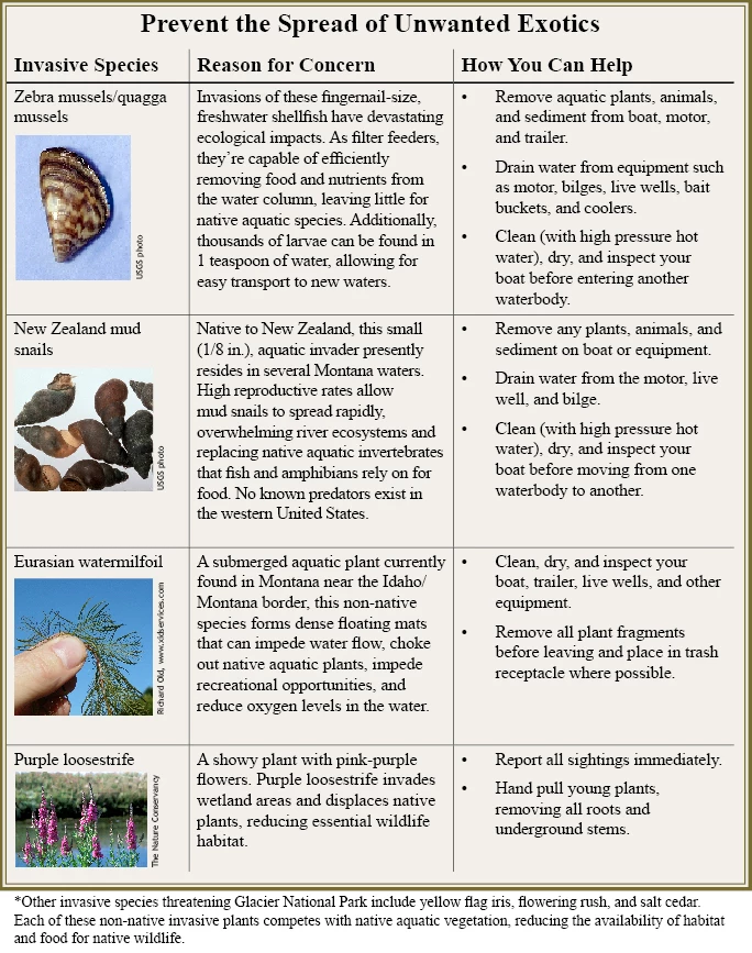 AIS Table Table summarizing exotic threats and prevention
