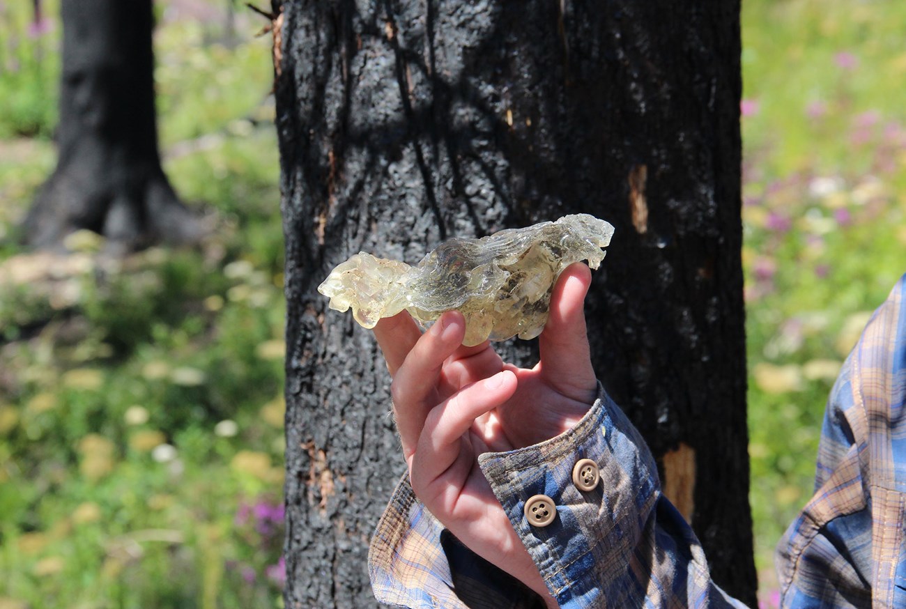 Archeologist holds melted glass. Archeologist holds an oddly-shaped object that looks like crystallized rock.