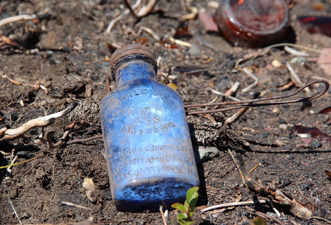 Milk of Magnesia bottle lies on the ground. Small, bright-blue bottle lies on the ground.