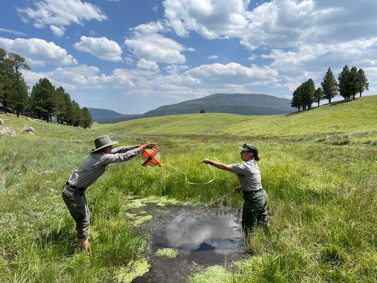 Two researchers measure a narrow stream in a grassy valley.