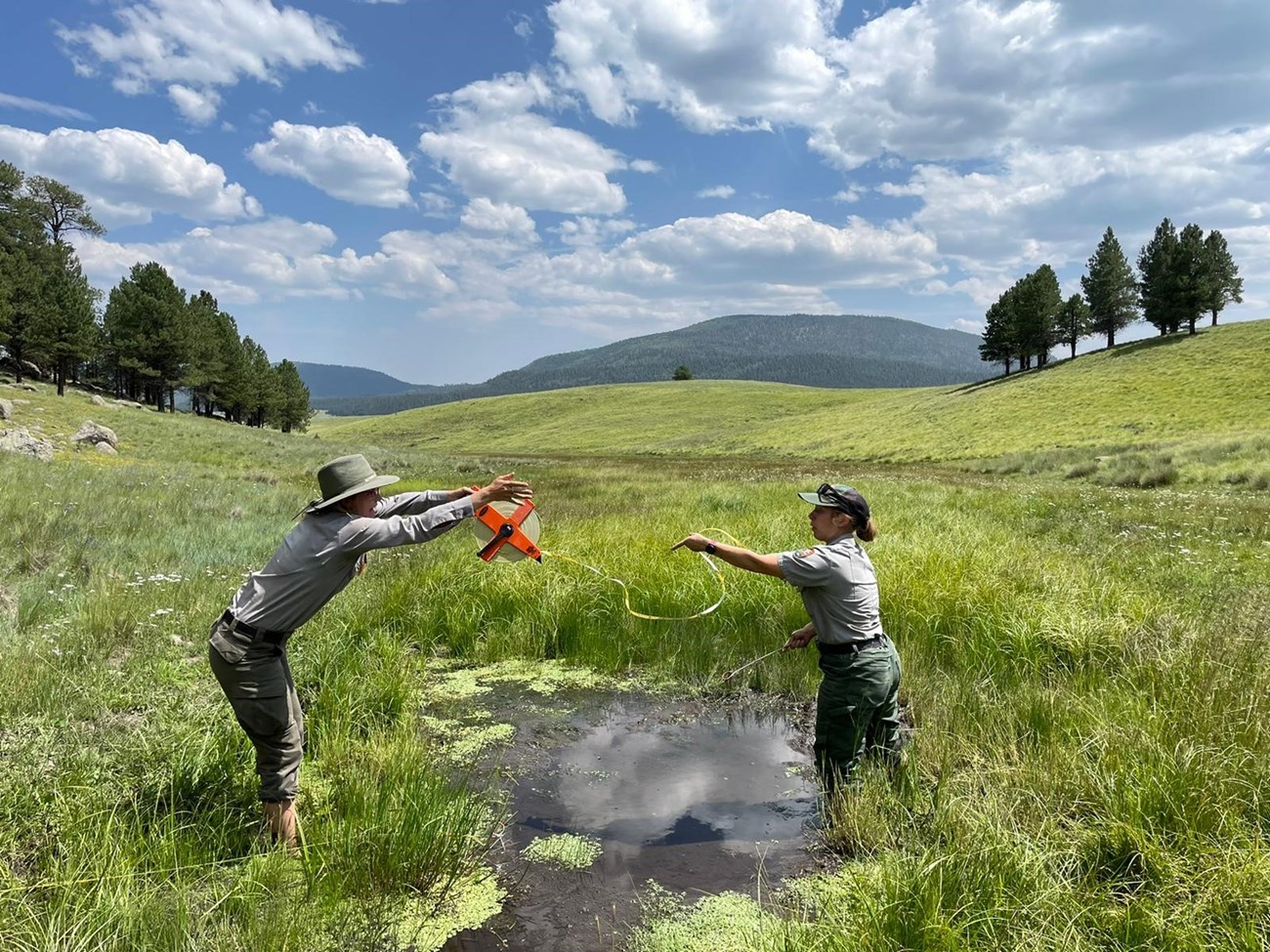 Researchers Two researchers measure a narrow stream in a grassy valley.