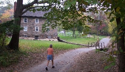 Peirce Mill Trail