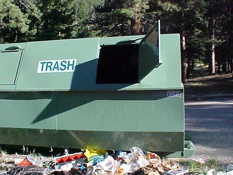 a photo of a bear-damaged dumpster