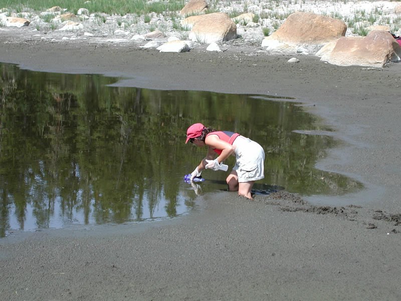 a photo of a toad researcher