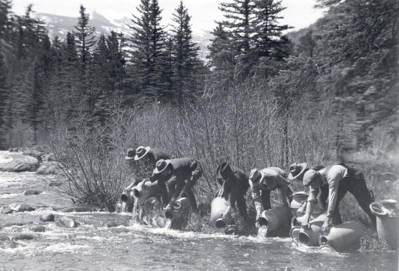 an historic photo of stocking  Glacier Creek with nonnative fish