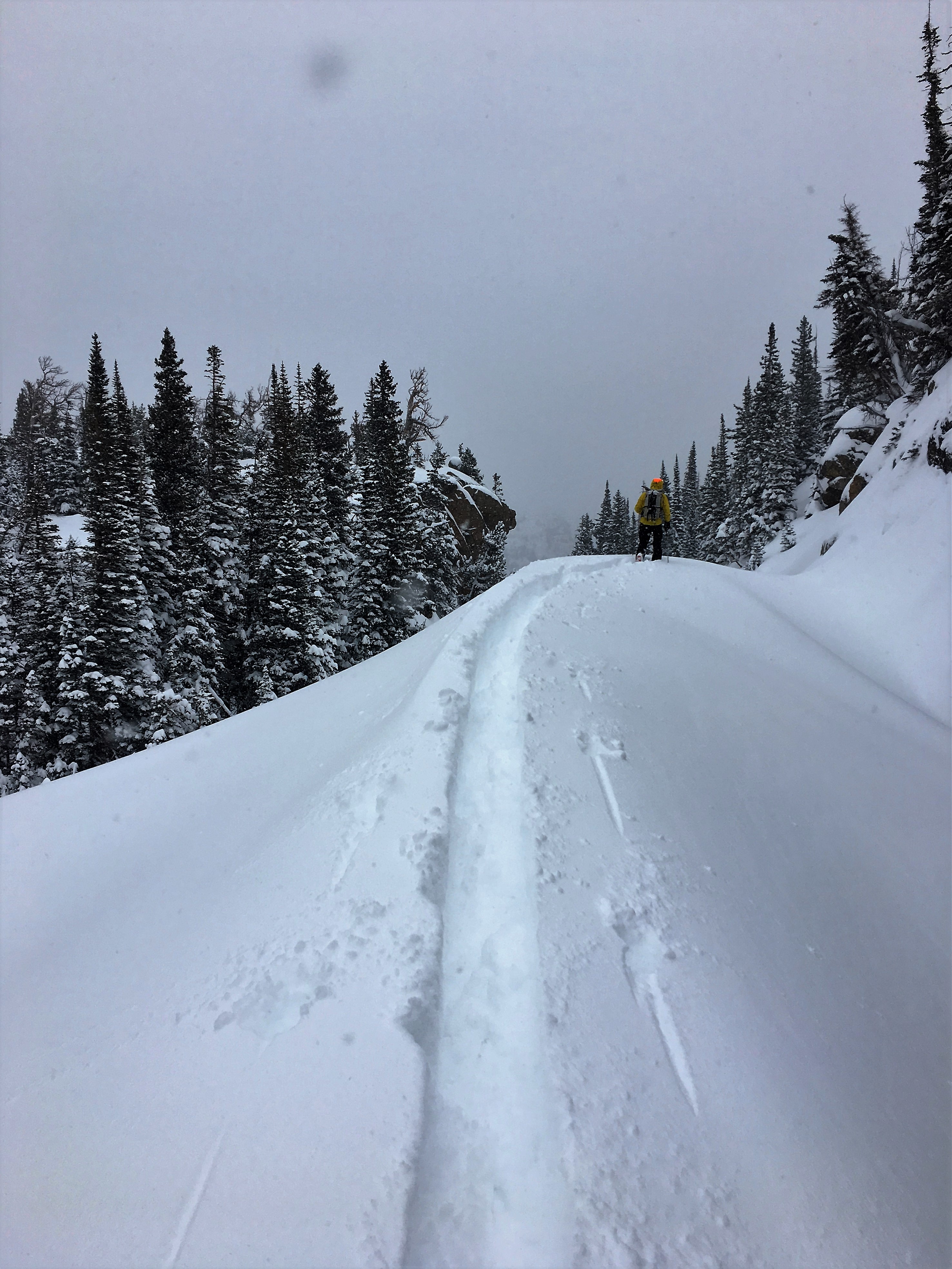 Search efforts for James Pruitt in Rocky Mountain National Park