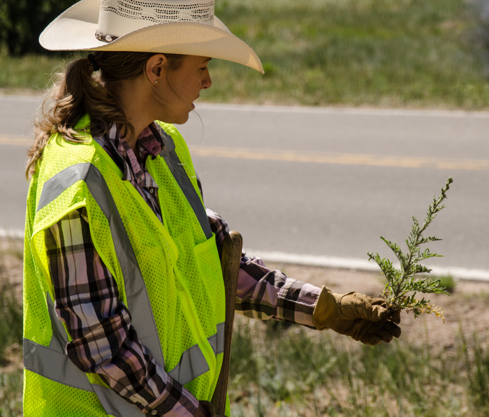 Community weed pull event