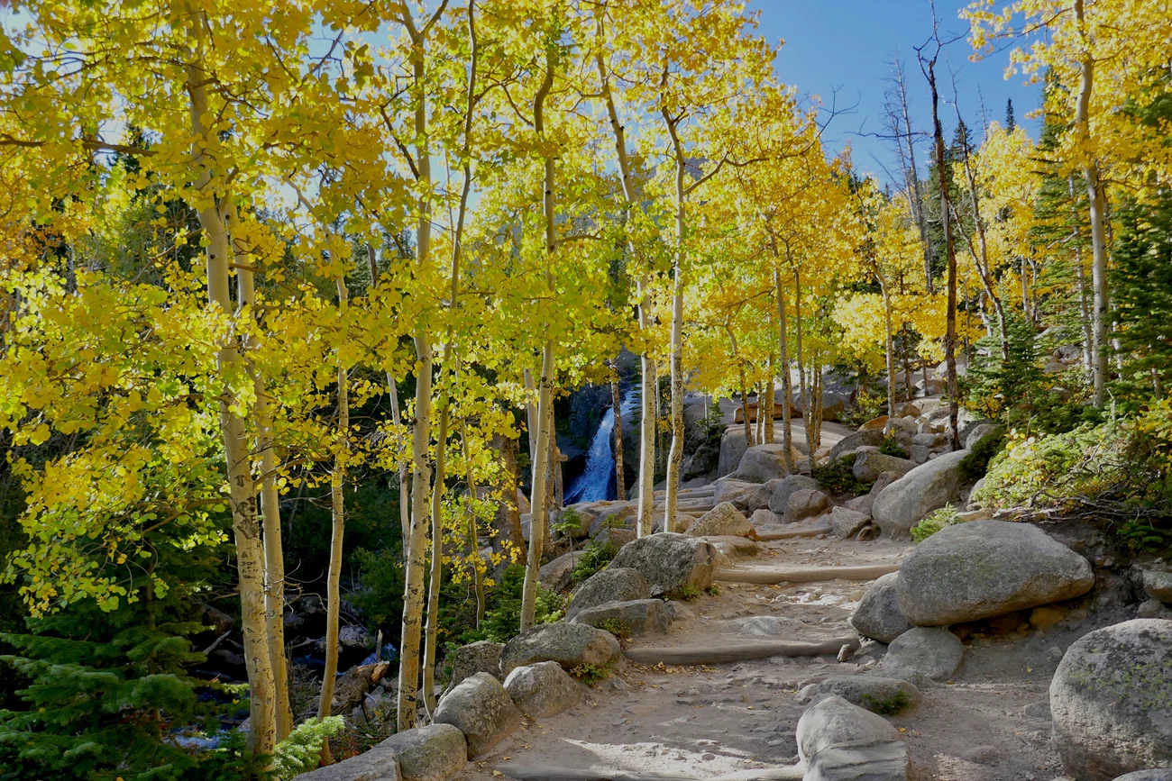 Alberta Falls on a Warm Autumn Day Trail to Alberta Falls, with water flowing in the falls. Aspen with  leaves of gold line the trail.