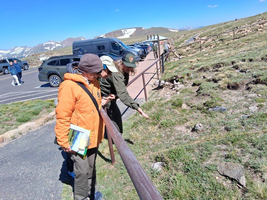 Alpine Bloom Program
