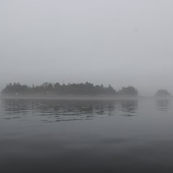 the fog surrounds in island in gray water