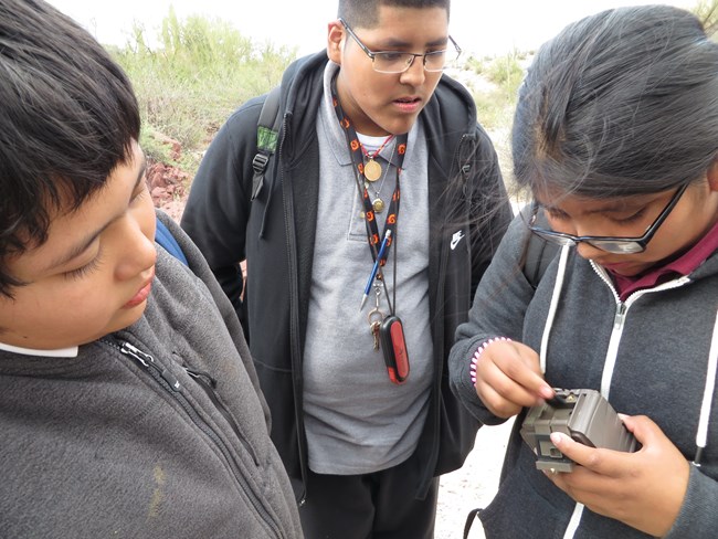 Three teenage students use wildlife camera