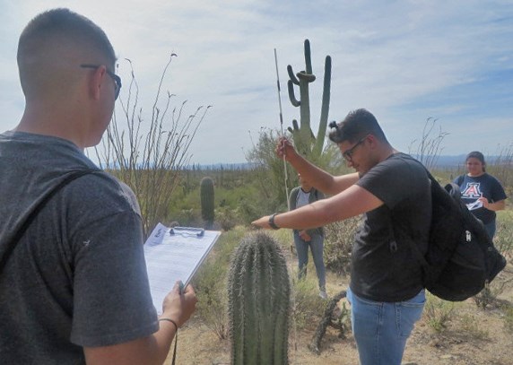 Student with clipboard records data of waist-high saguaro being measured with a measuring stick by another student.