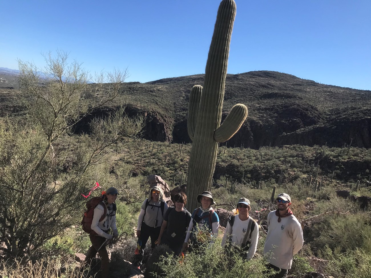 Group photo. Behind them is a tall saguaro and a nice mountainous view.