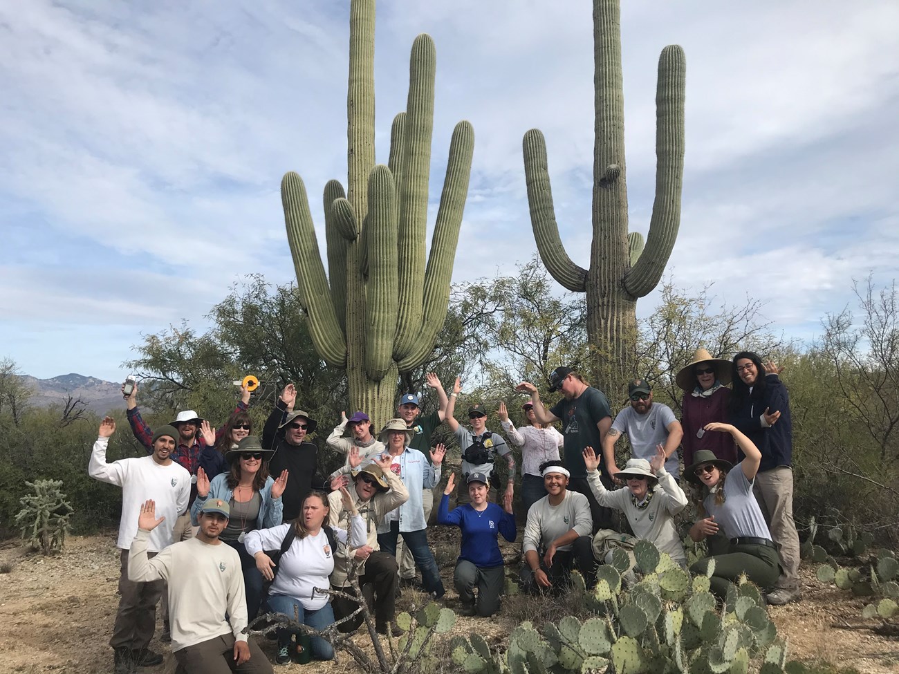 NPS staffs and volunteers posing like a saguaro