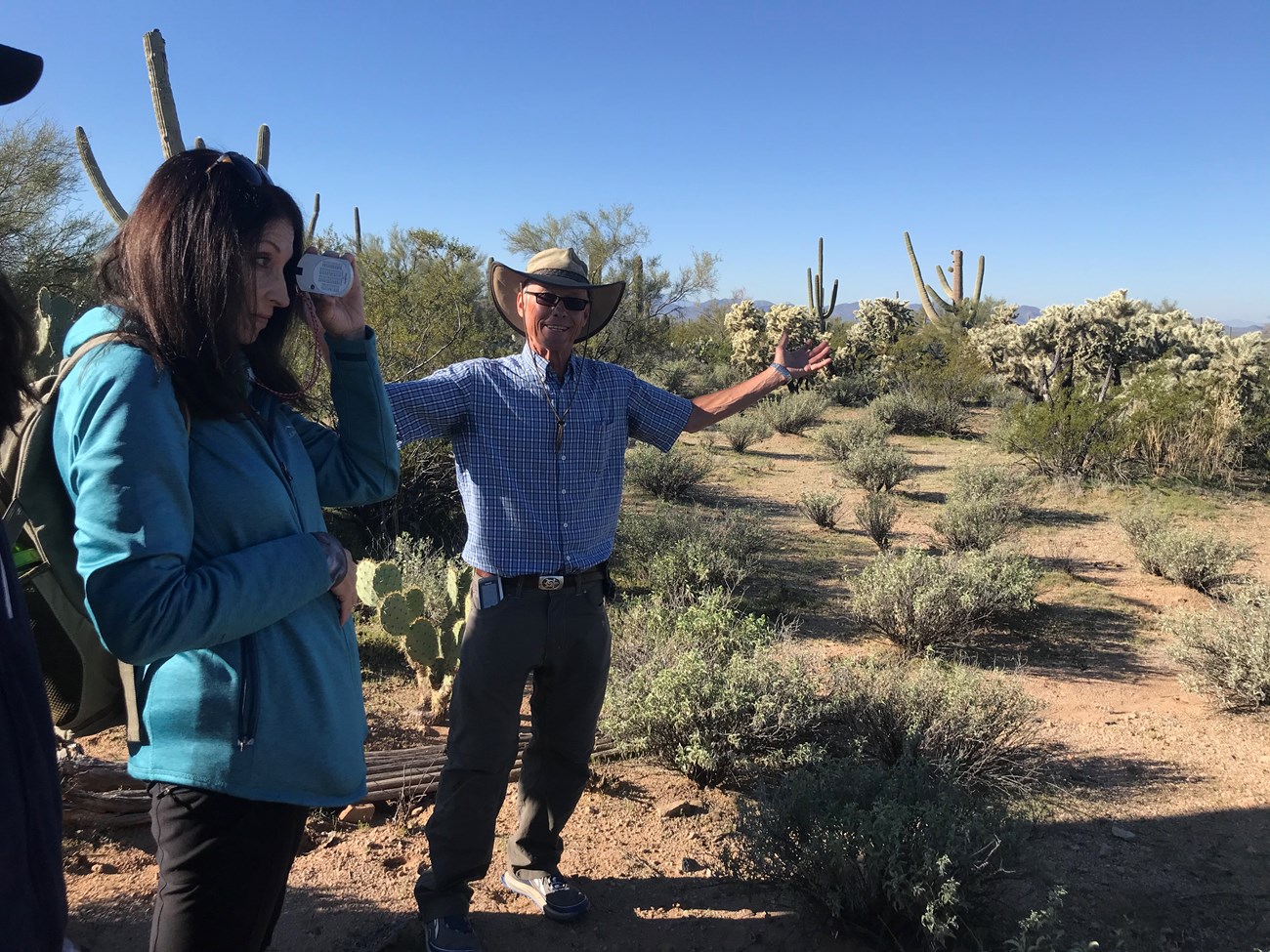 Volunteer uses clinometer to measure saguaro