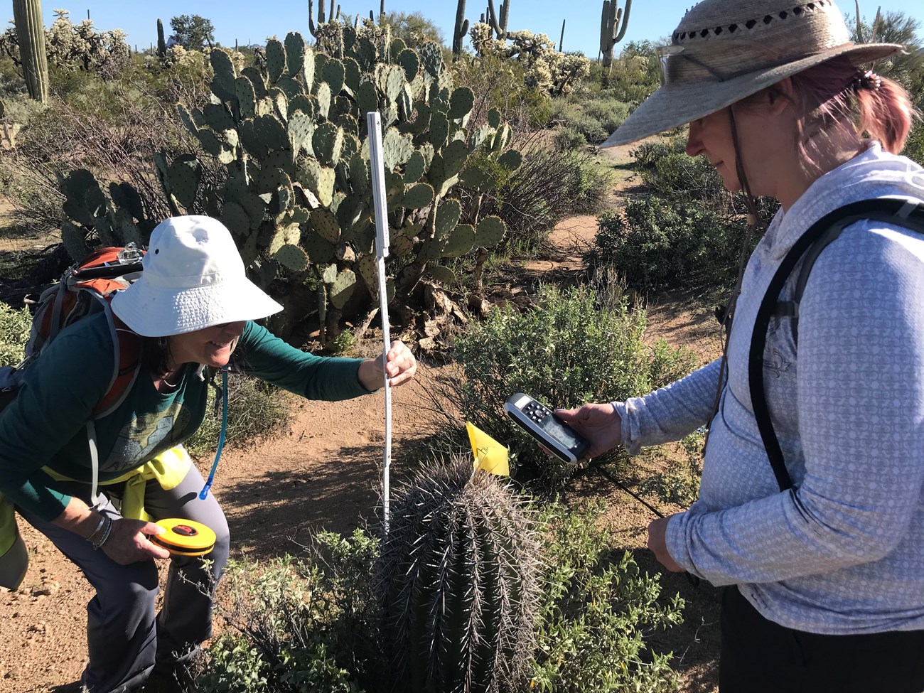 Volunteers work together to collect field data