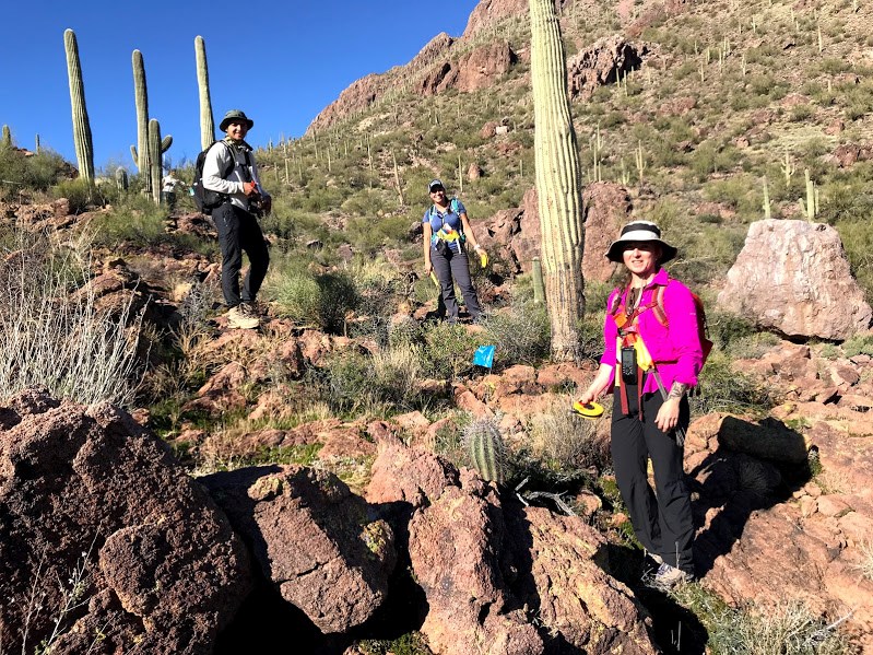 Volunteers around a flagged saguaro