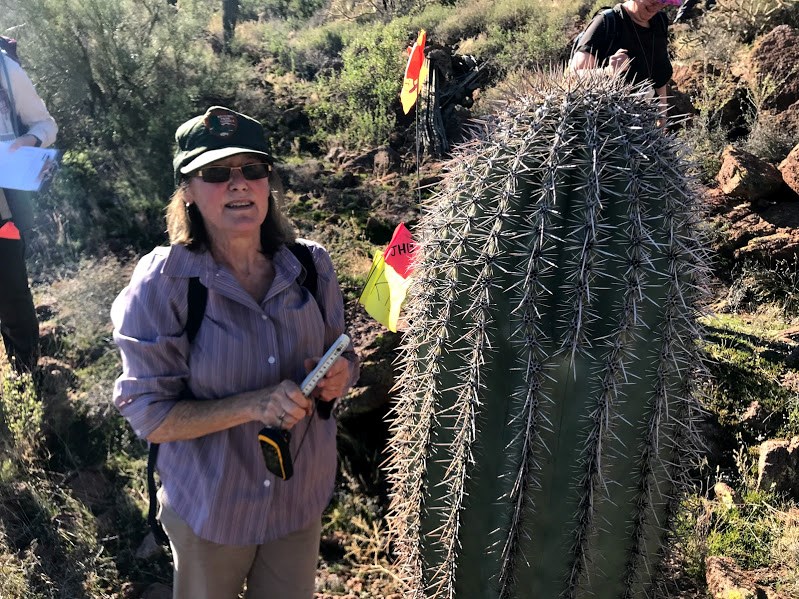 Woman standing next to a flagged saguaro