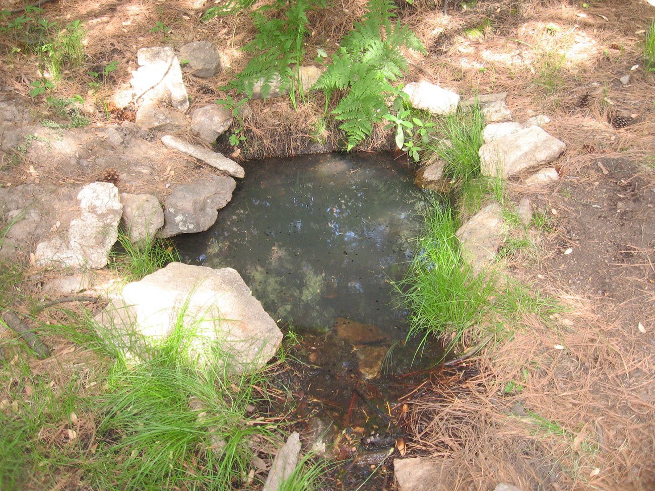 Spud rock spring. It is a small pool of water surrounded by boulders, with green vegetation along its edges.