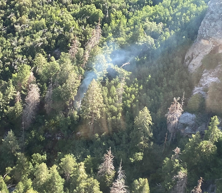Aerial view over a thick wooded area. Smoke rises from a small area in the center.