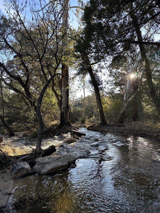 Turkey Creek Preserve Opens After A Decade, Providing Parking