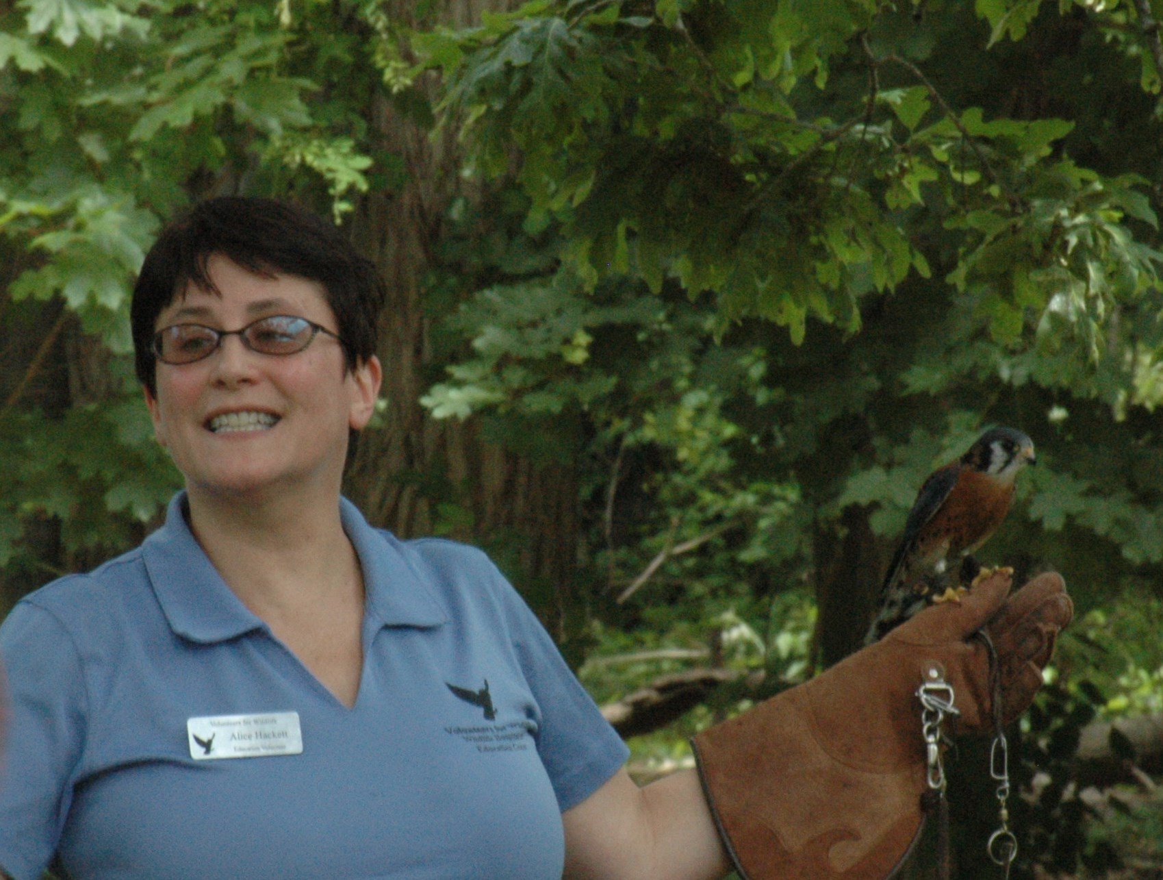 Volunteers for Wildlife educator Alice Hackett with a kestrel on a glove. Photo Credit:NPS/Scott Gurney