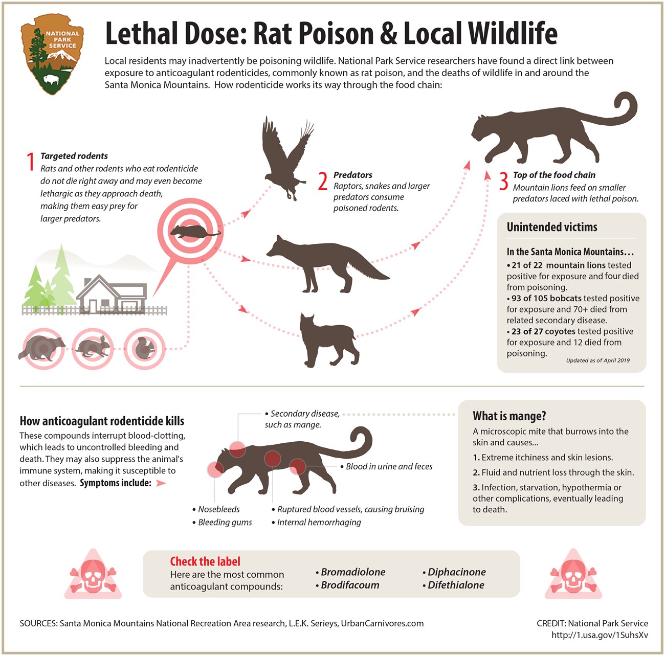 https://www.nps.gov/samo/learn/management/images/2019_Rodenticide_Infographic_2.jpg?maxwidth=1300&maxheight=1300&autorotate=false