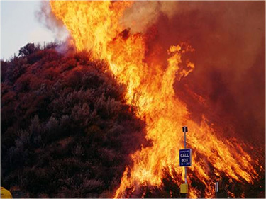 Fire Behavior - Santa Monica Mountains National Recreation Area