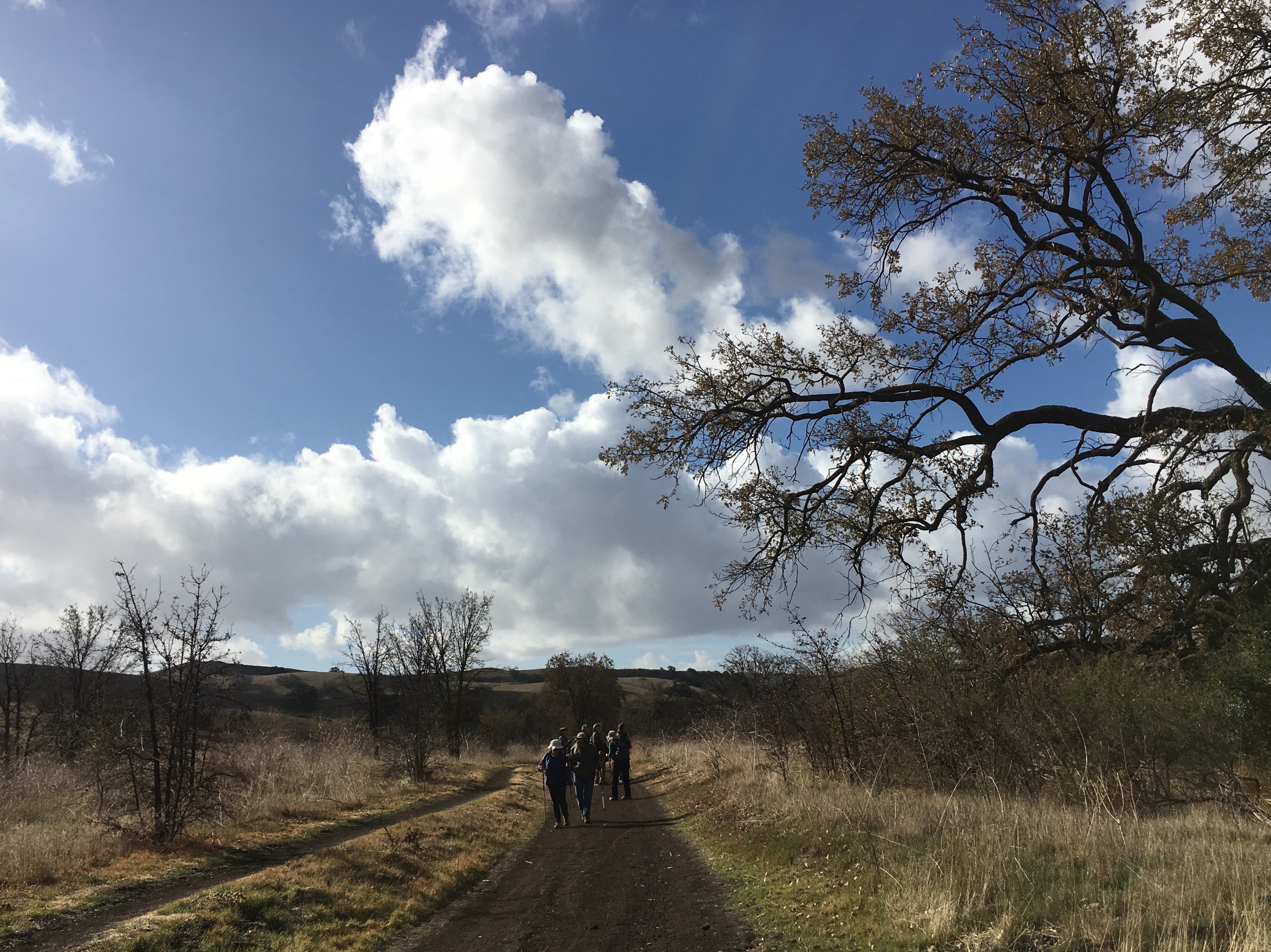 Hikers in Cheeseboro Canyon