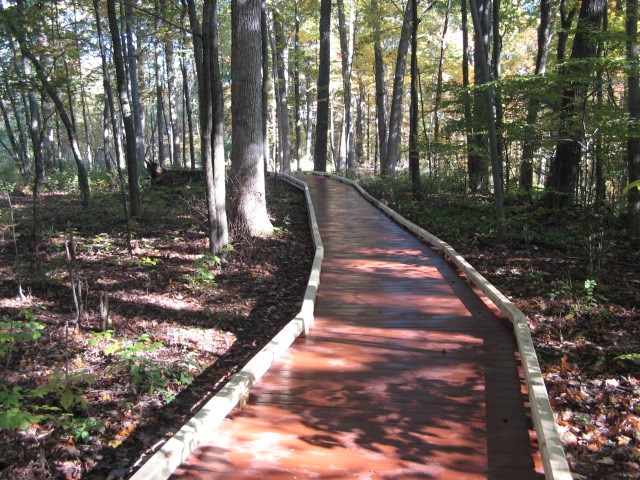 A wooden boardwalk on the Victory Woods trail in Schuylerville