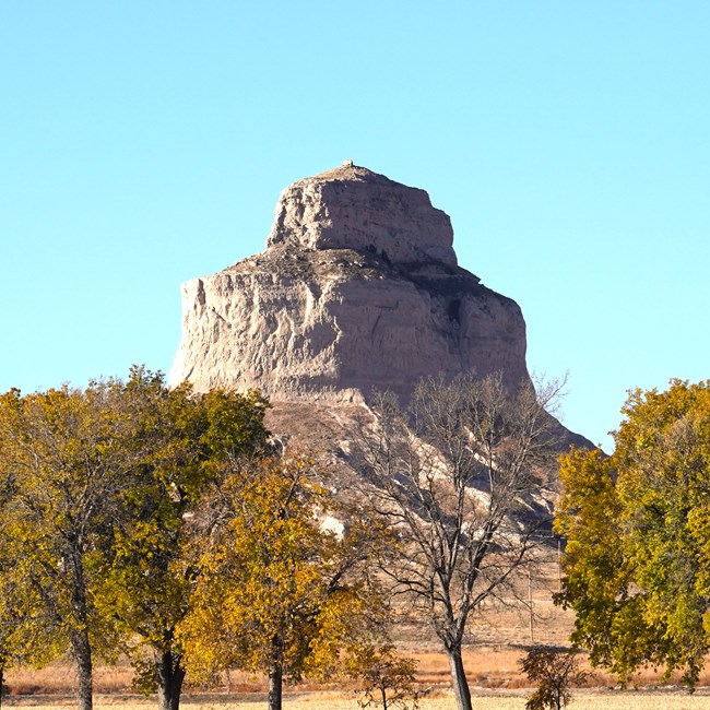 A round butte rises above a line of trees.