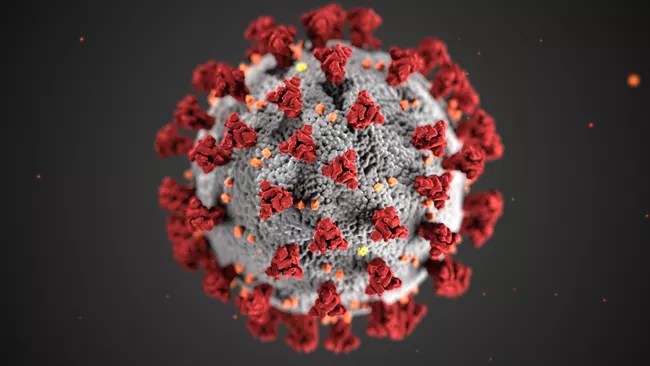 A small particle representing the COVID virus.