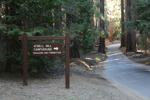 Wooden sign marking the entrance to the campground