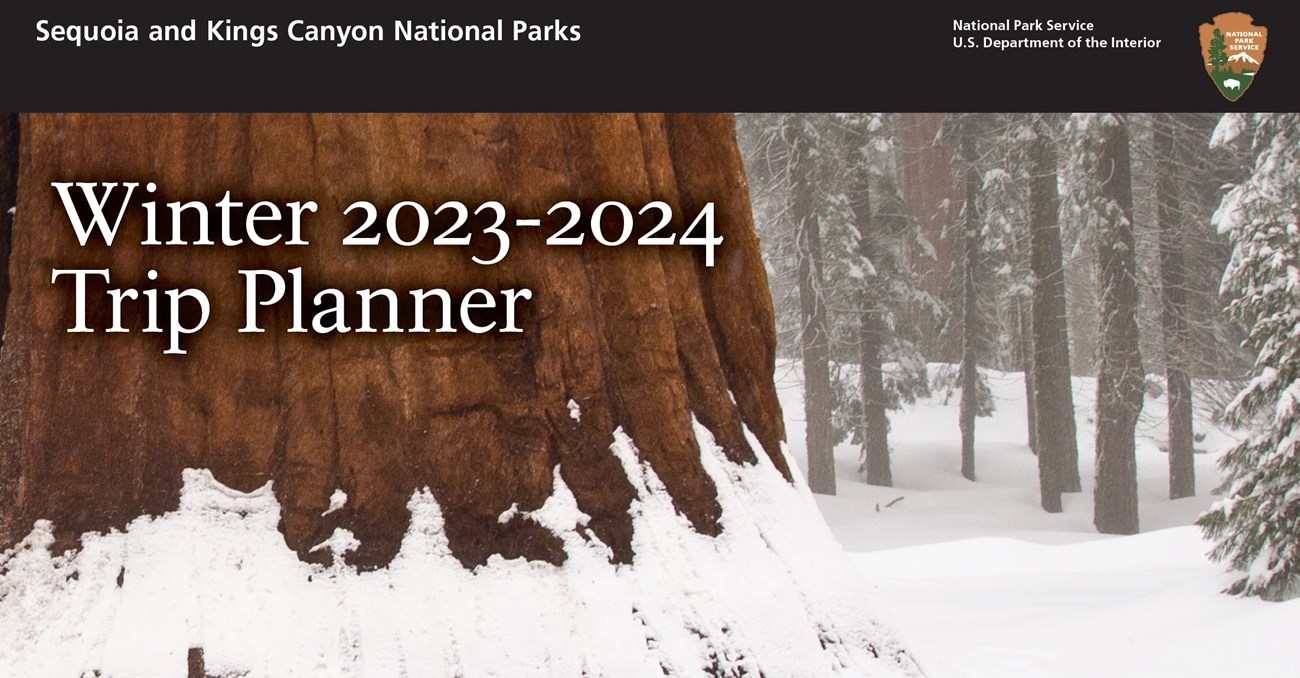 A wide tree trunk with reddish brown, deeply grooved bark has the words "Winter 20233-2024 Trip Planner" printed over it. The bottom of the trunk and the surrounding forest is covered in snow.