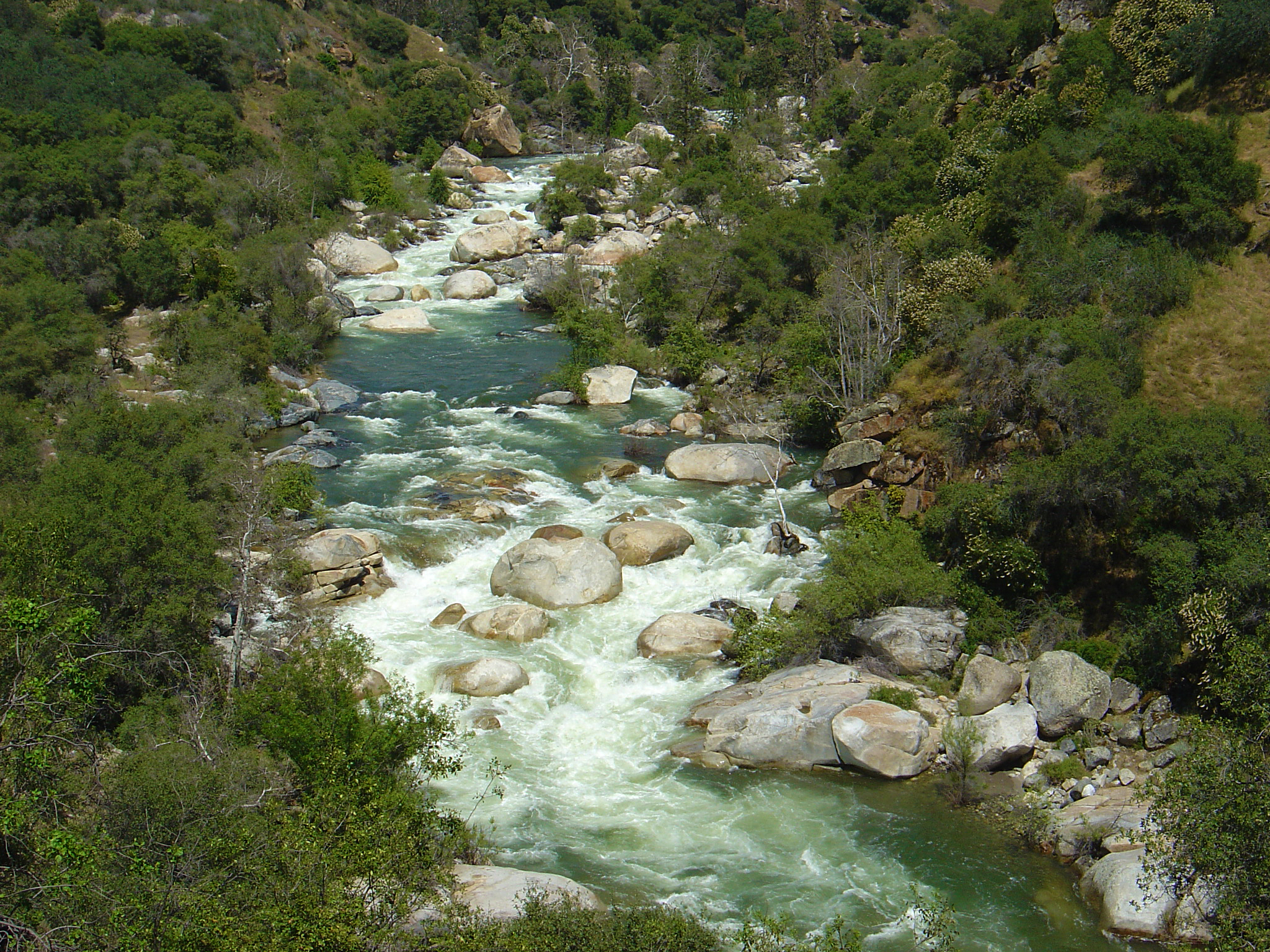 Middle Fork Kaweah River in the Foothills.