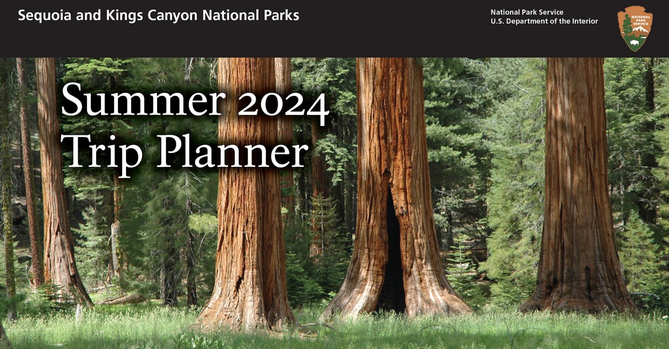 The words "Summer 2024 Trip Planner" overlay an image of a grassy forest featuring 3 prominent tree trunks. A black bar spans the top and contains a park service arrowhead emblem and the name of the national parks