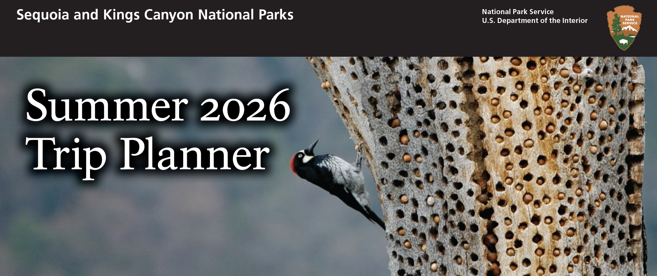 The words "Summer 2026 Trip Planner" appear in large font overlaid on an image of an acorn woodpecker on the side of a tree covered with small holes. Most holes are filled with an acorn. The image is non-descript behind the lettering.