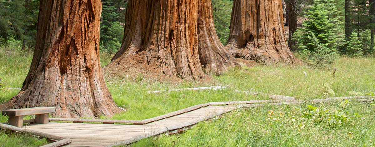 best hikes sequoia national forest