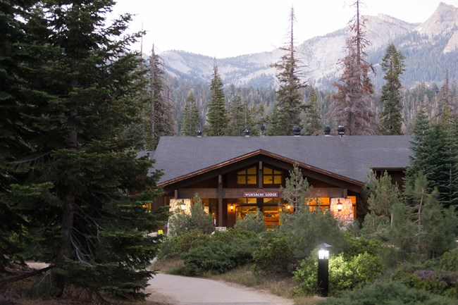 A lodge hotel in the middle of a forest.