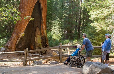 Accessibility Sequoia Kings Canyon National Parks Us - 