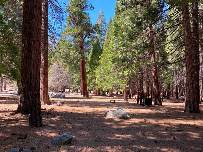 A large campground