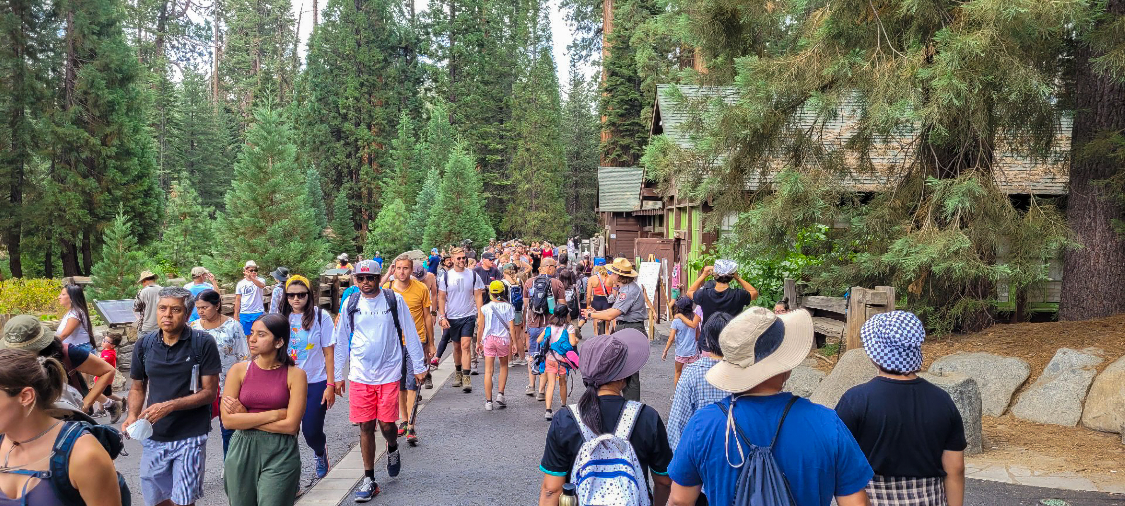 A crowd of visitors walks around the giant forest museum pavillion. Somewhere in the crowd, a ranger interacts with a visitor.