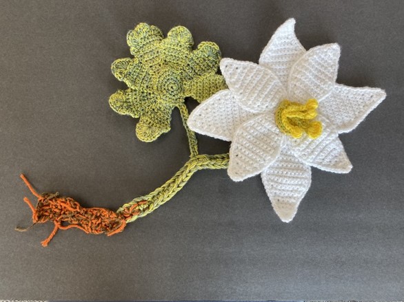 Bloodroot wildflower crochet art