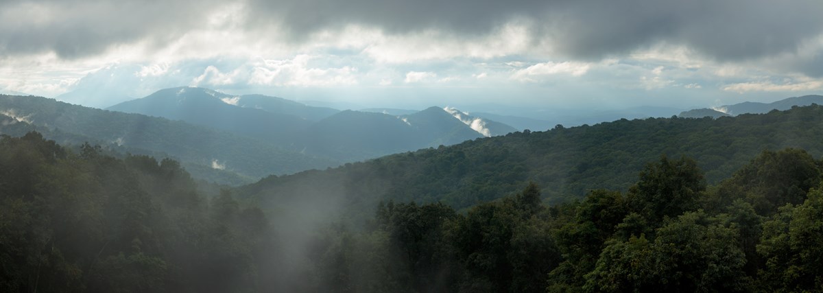 Fog surrounding mountains