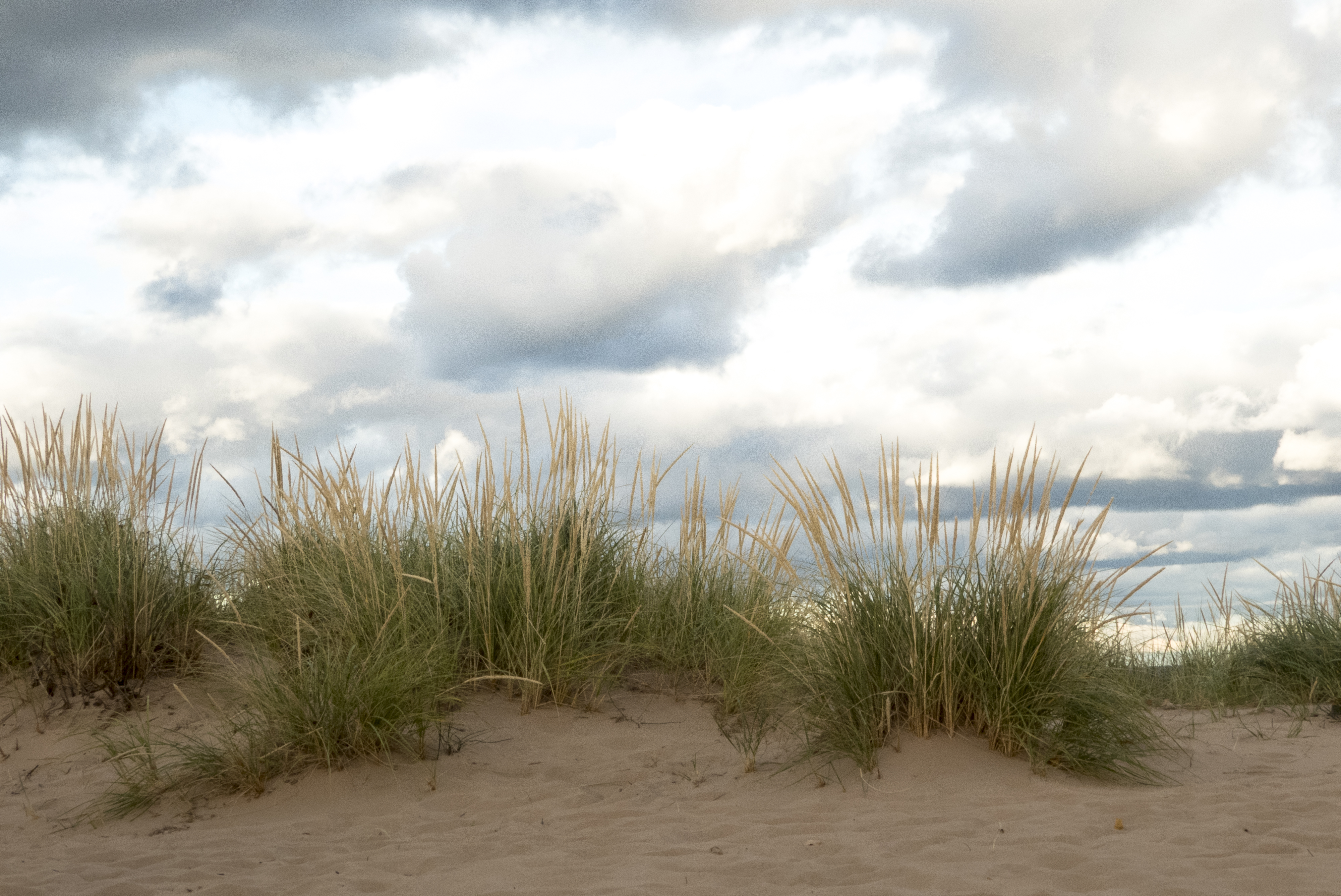 6 Places to Discover Amazing Sand Dunes in Michigan