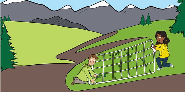 A cartoon of two people measuring vegetation in a grid plot.